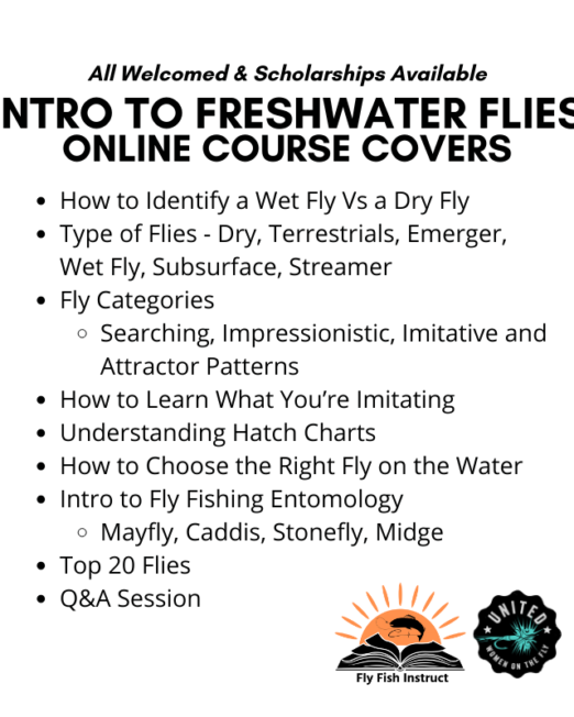 Intro to Freshwater Flies Online Course Description