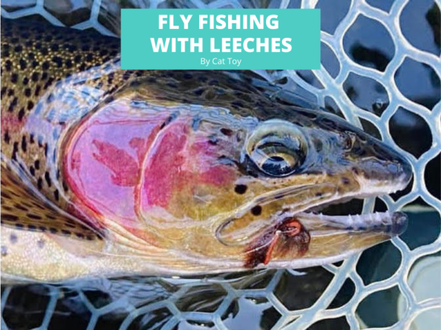 Fly Fishiing with Leeches by Cat Toy
