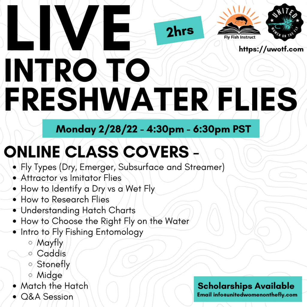 Live Intro to Freshwater Flies Online Course