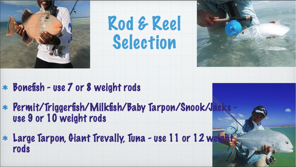 Saltwater Equipment Fly Rod and Reel Selection