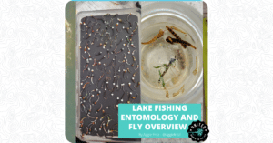 Lake Fishing Entomology and Fly Overview by Aggie Fritz