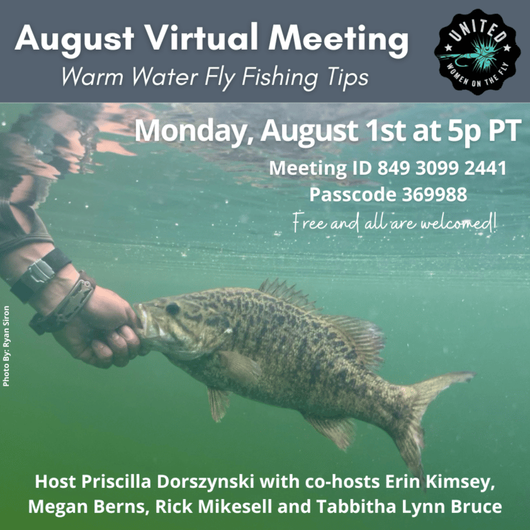 August 2022 Virtual Meeting