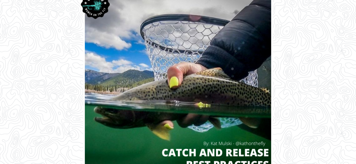 Catch and Release Best Practices with Kat