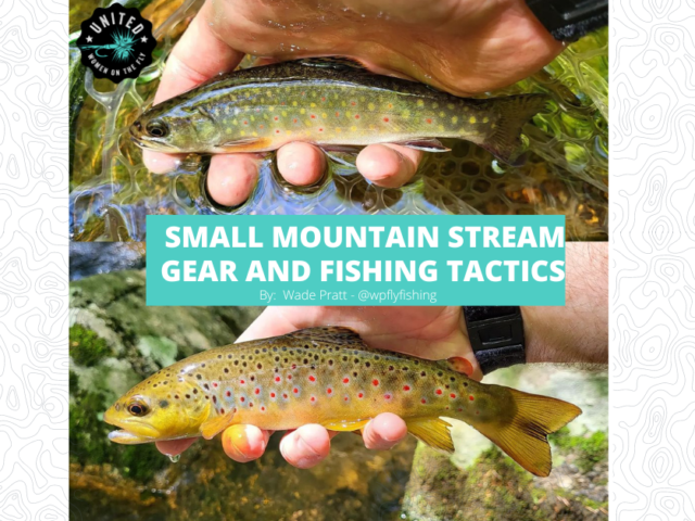 Small Mountain Stream Gear and Fishing Tactics