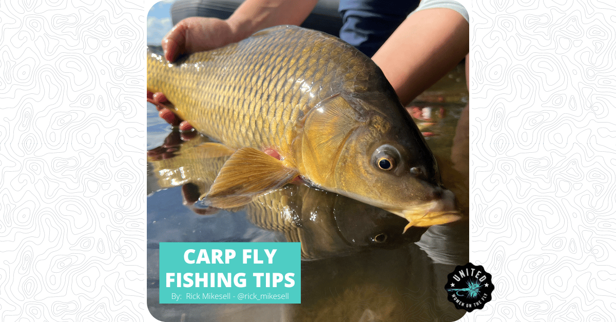 https://uwotf.com/wp-content/uploads/2022/09/Website-Featured-Image-Carp-Fly-Fishing-Rick-Mikesell-1.png