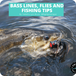 Website Featured Image - Bass Lines, Flies and Fishing Tips by Tabbitha Bruce