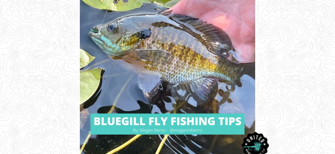 Website Featured Image - Bluegill Fly Fishing Tips - Megan Berns (2)