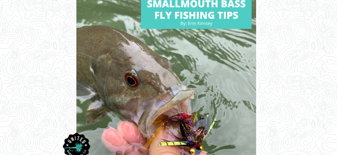 Website Featured - Smallmouth Bass Fly Fishing Tips
