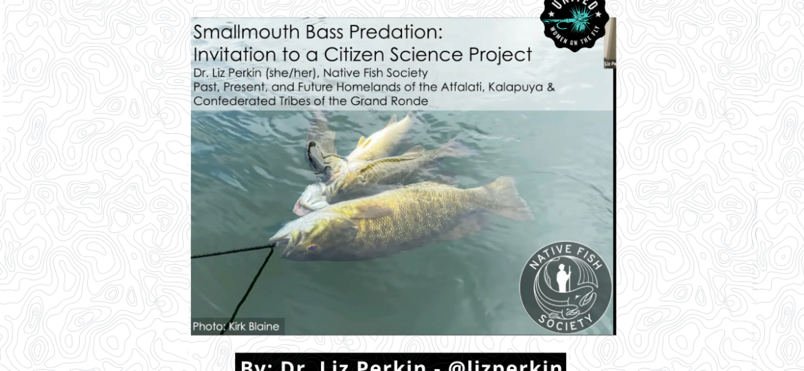 Website Featured - Smallmouth Bass Predation Project