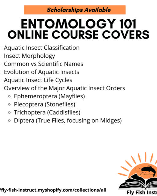 Shopify - Entomology 101 Course Description