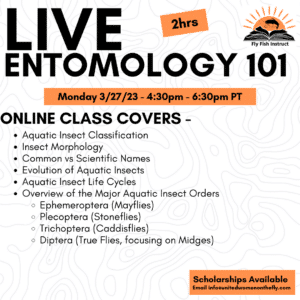 Entomology 101 Live Online Course